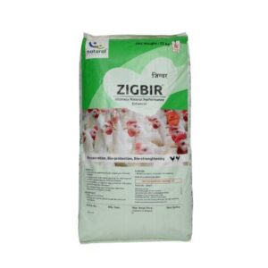 Zigbir
