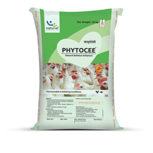Phytocee <sup>®</sup> Swine Health Immunity Booster & Anti-Stress Solution