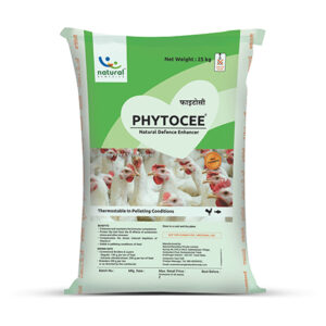 Phytocee <sup>®</sup> for Poultry Immunity Health Booster