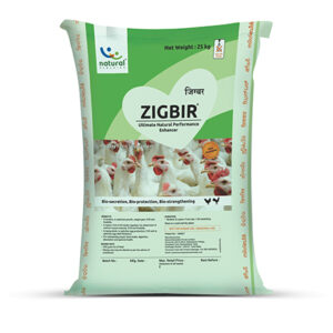 Zigbir Natural Liver Supplement for Poultry
