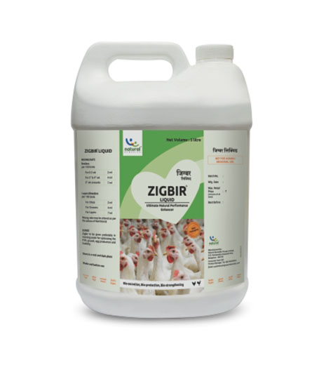 ZIGBIR Natural Liver Tonic for Poultry