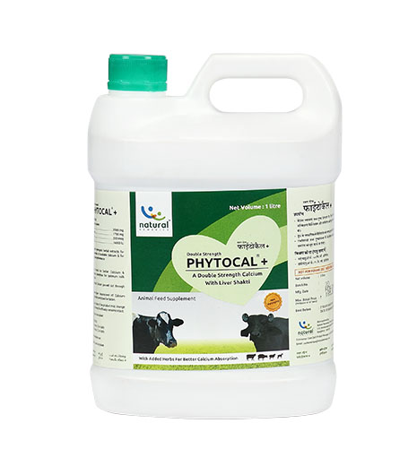 Phytocal Plus - Calcium & Phosphorus Animal Feed Supplement