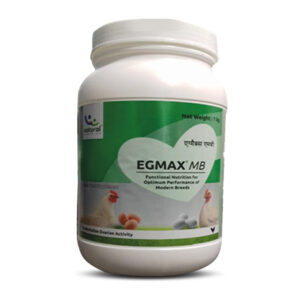 Egmax MB ®