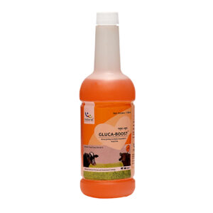 Gluca Boost for Animals
