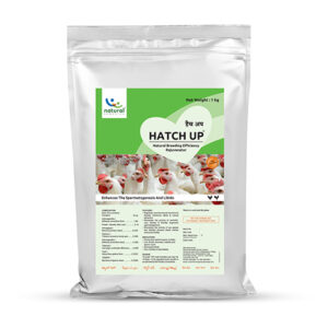 Hatch Up - Poultry Breeding Rejuvenator