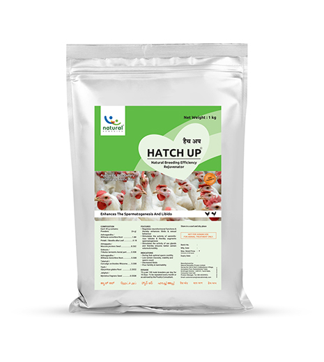 Hatch Up - Poultry Breeding Rejuvenator