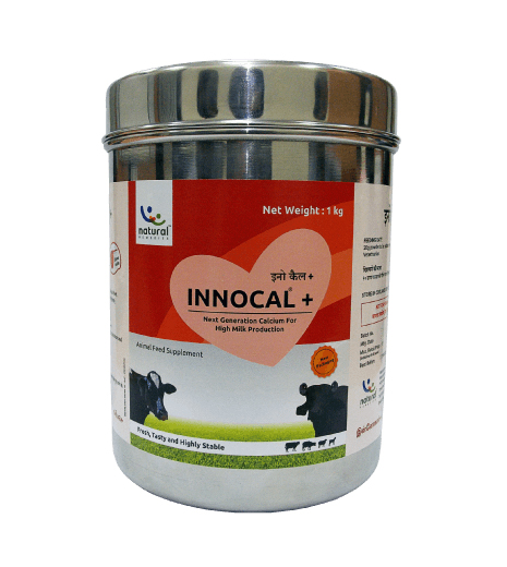 Innocal Plus - Calcium Supplement for Cows