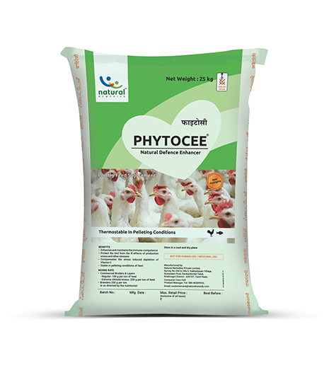 PHYTOCEE Natural Defence Enhancer for Poultry