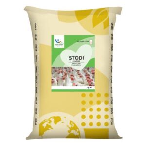 Stodi