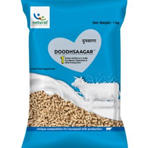 Doodhsaagar