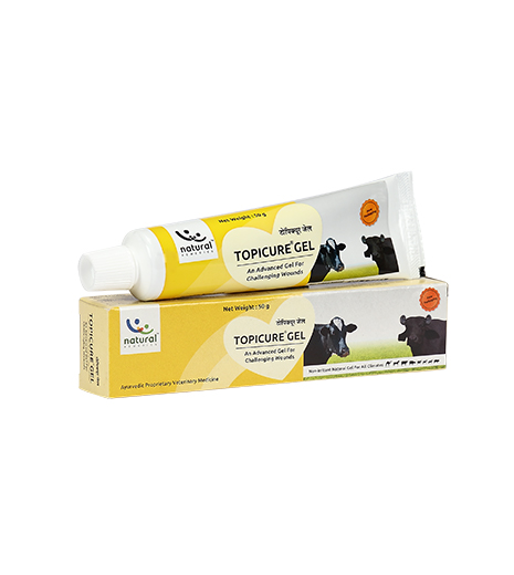Topicure Gel helps in healing wounds for Animals such as surgical wounds, foot rot lesion, weeping wounds etc.