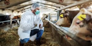 diseases in livestock