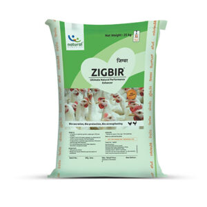 Zigbir