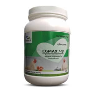 Egmax MB ®