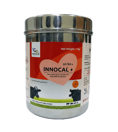 INNOCAL PLUS - calcium supplement for cows fortified with herbs.