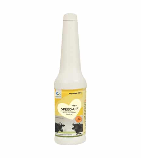 Speedily oral ionic calcium gel for ruminant animals