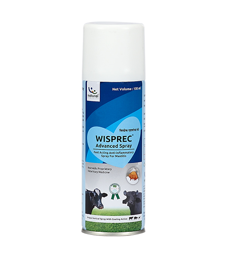 Wiprec Advanced Cream and Spray Helps In Animals Mastitis Treatment