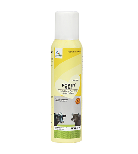 Pop in Spray helps in Animal Pelvic Organ Prolapse