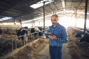 Innovations in Ruminant Nutrition Management