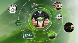 Sustainable Future Our Journey at Natural Remedies