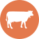 Cows