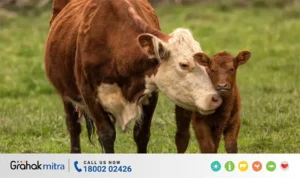 Tips to Identify and Prevent