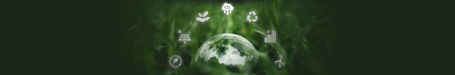 Explore Our Sustainability Initiatives