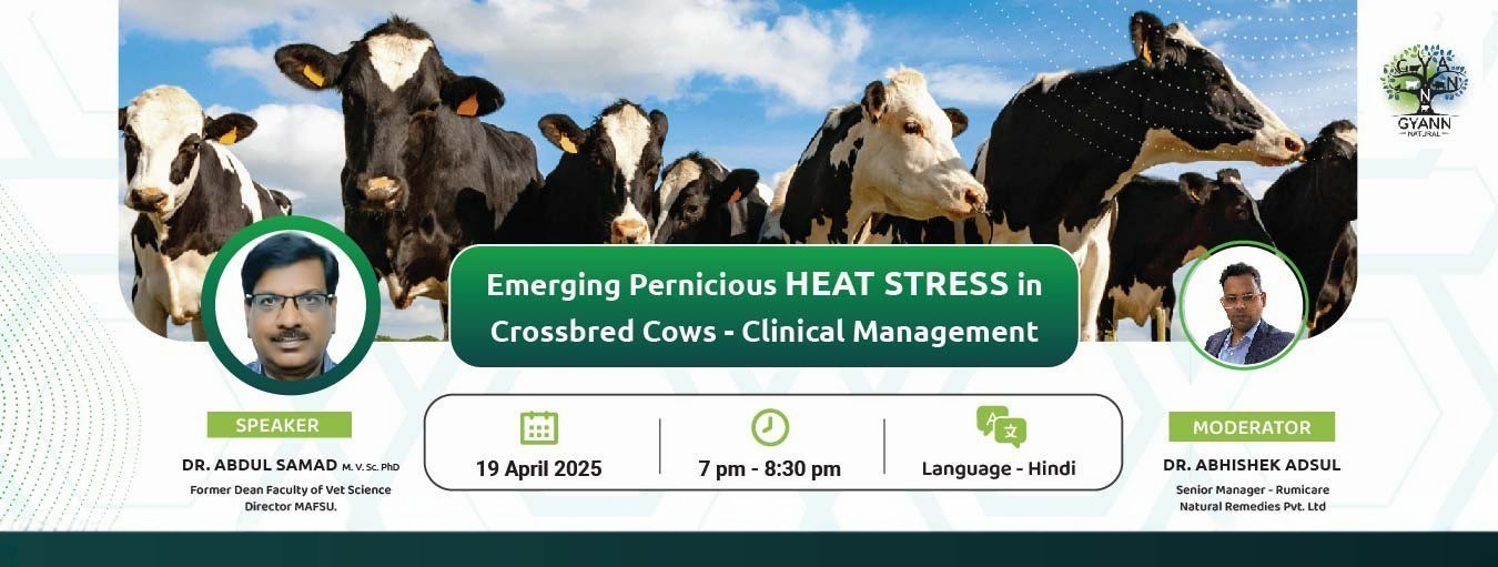 Emerging Pernicious Heat Stress in Crossbred Cows