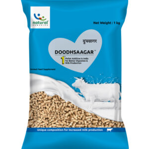 Doodhsaagar