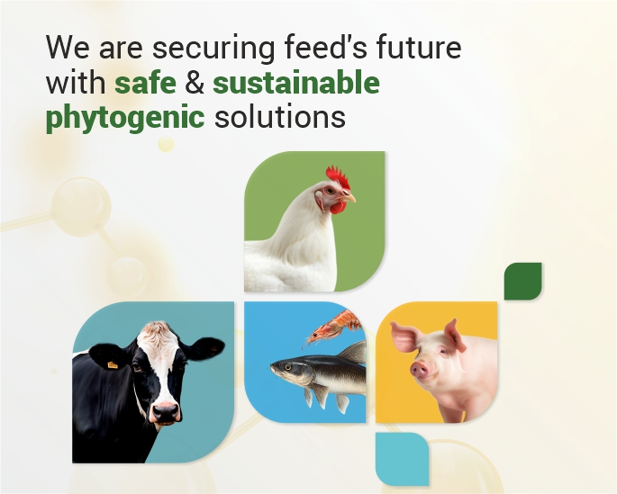 Animal Health