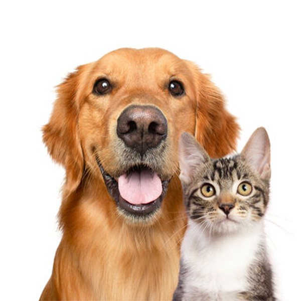 Pet Products