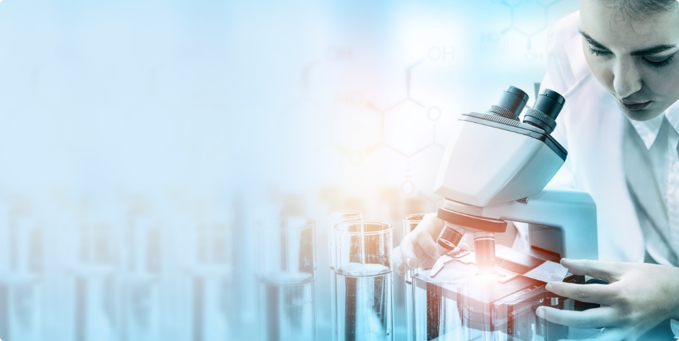 Cellular Assay 02 1