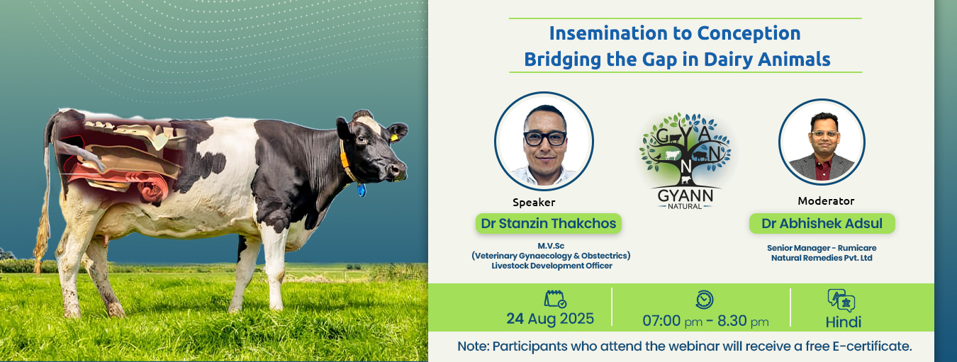 gyann webinar series