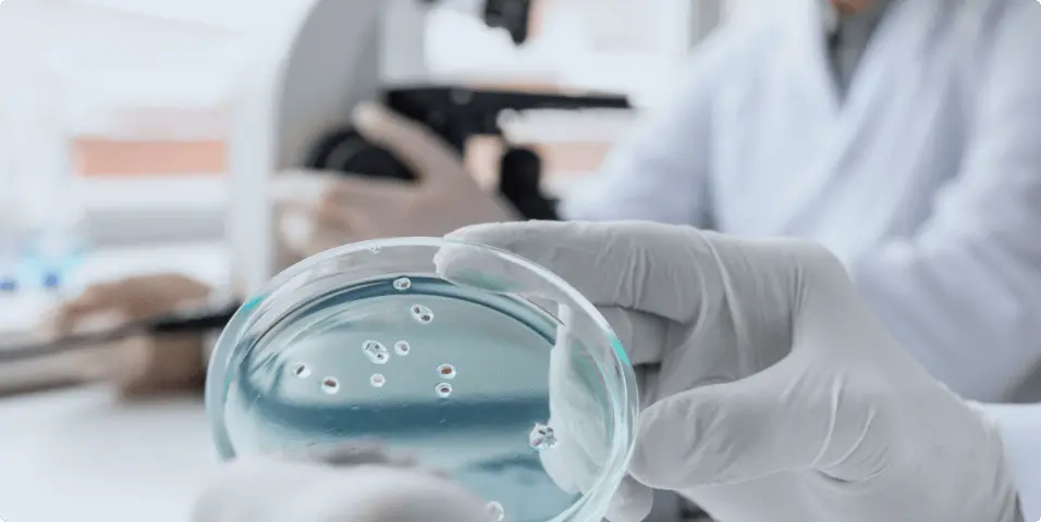 microbiology big 1