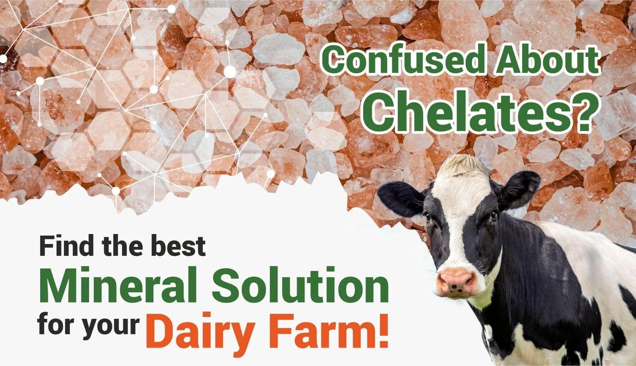 Find the Best Mineral Solution for Your Dairy Farm 1