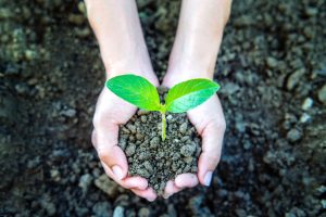 Sustainable Future Through the Power of Nature and Science