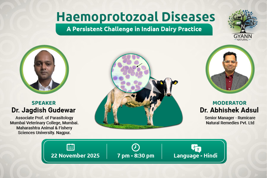 Gyann web Nov 900x600 Px 1