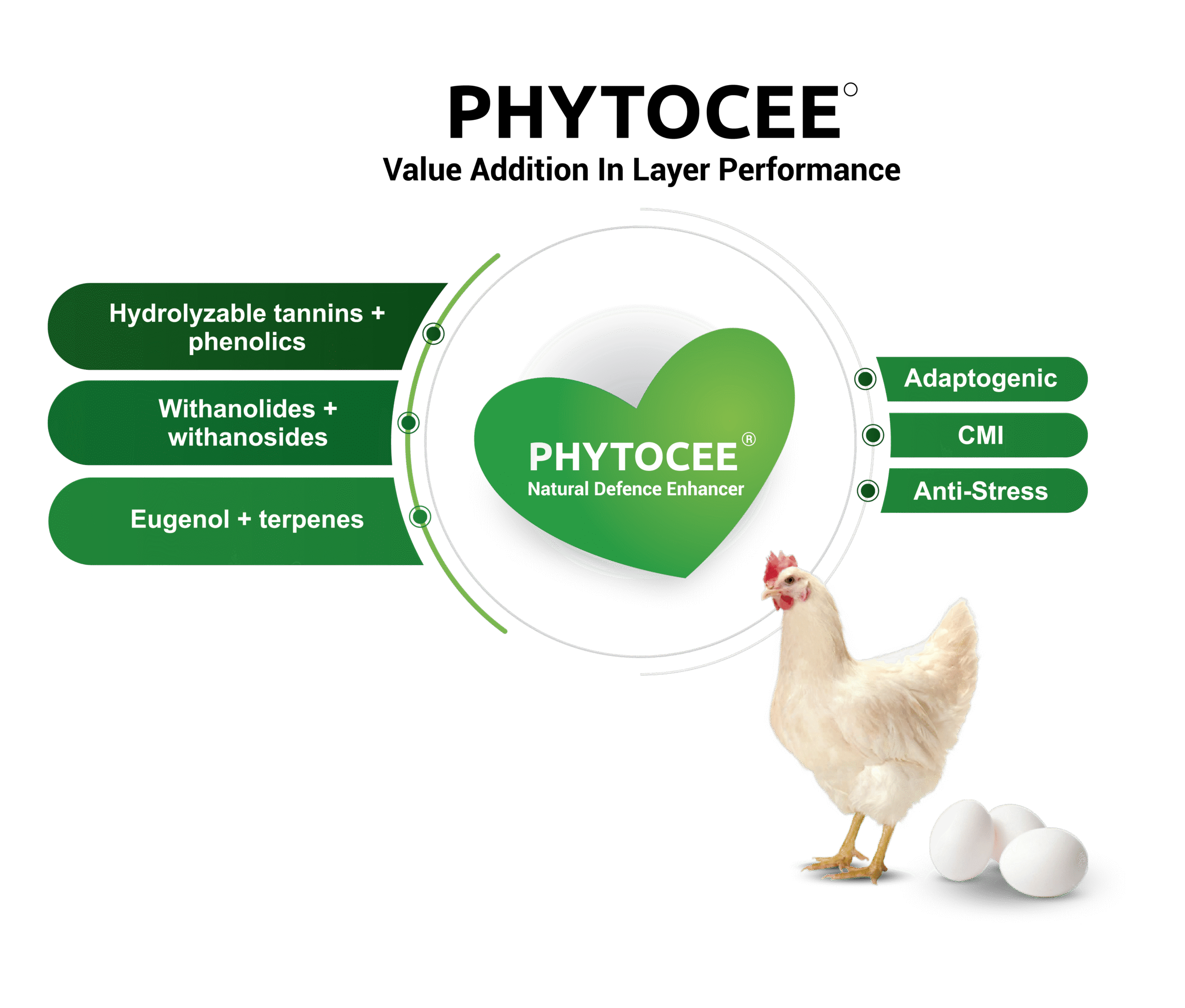 Untitled 2 03 1 scaled