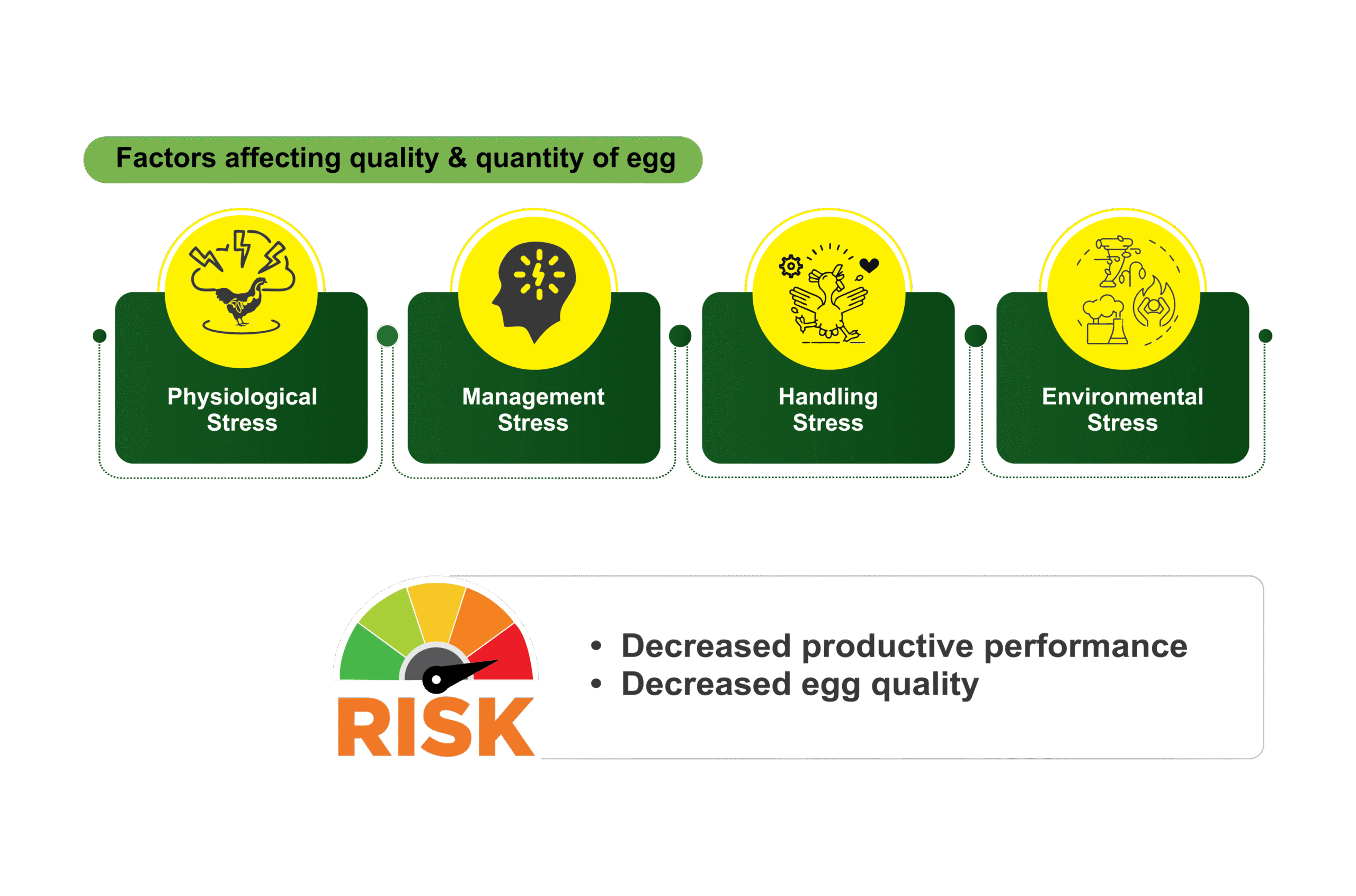 Untitled 2 04 1 scaled