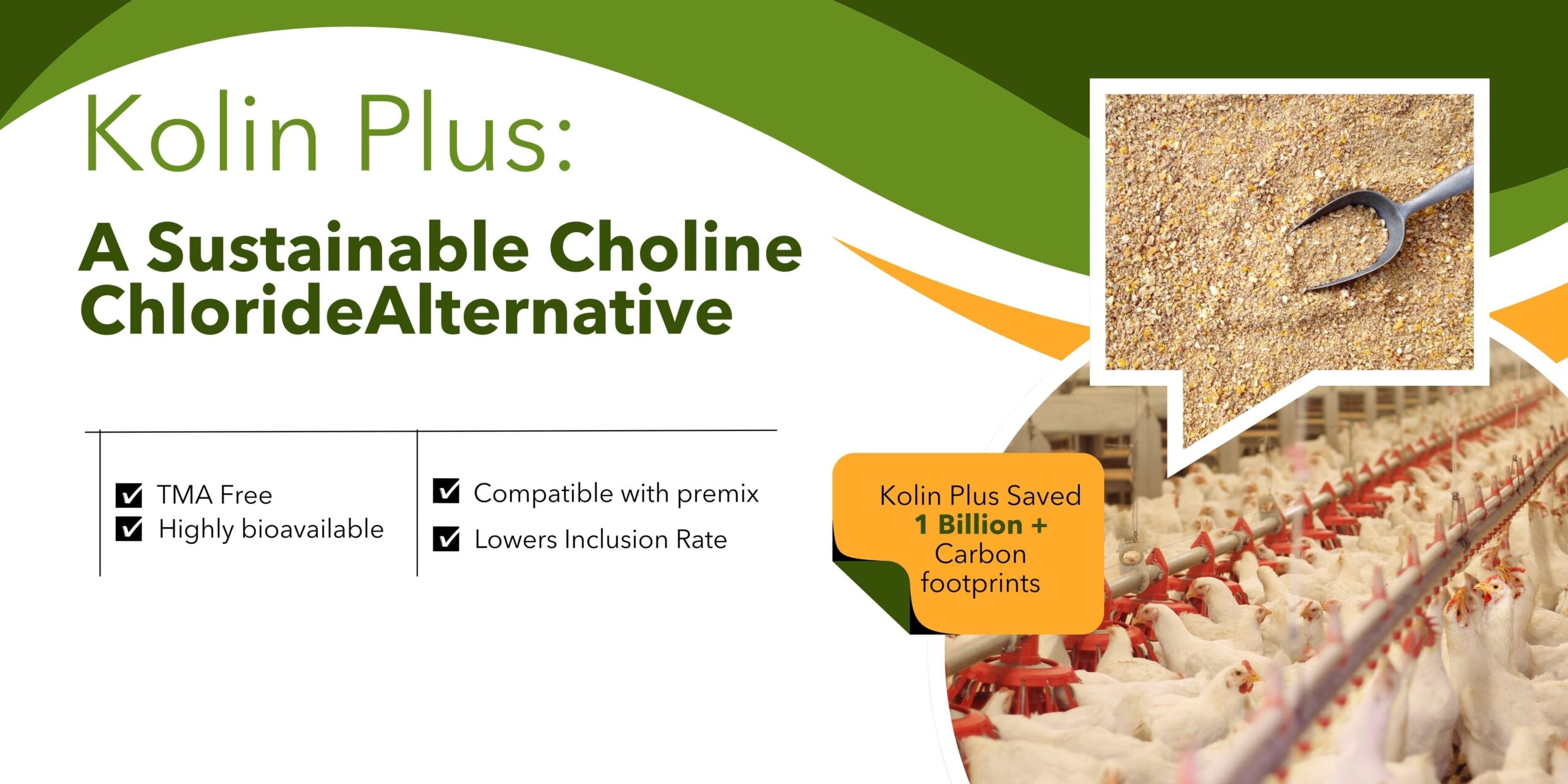 Green and Yellow Modern Sustainable Farming Practices Banner 1 1 scaled