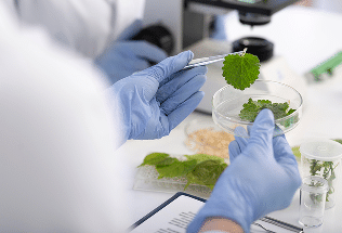 Sustainable Procurement Policy