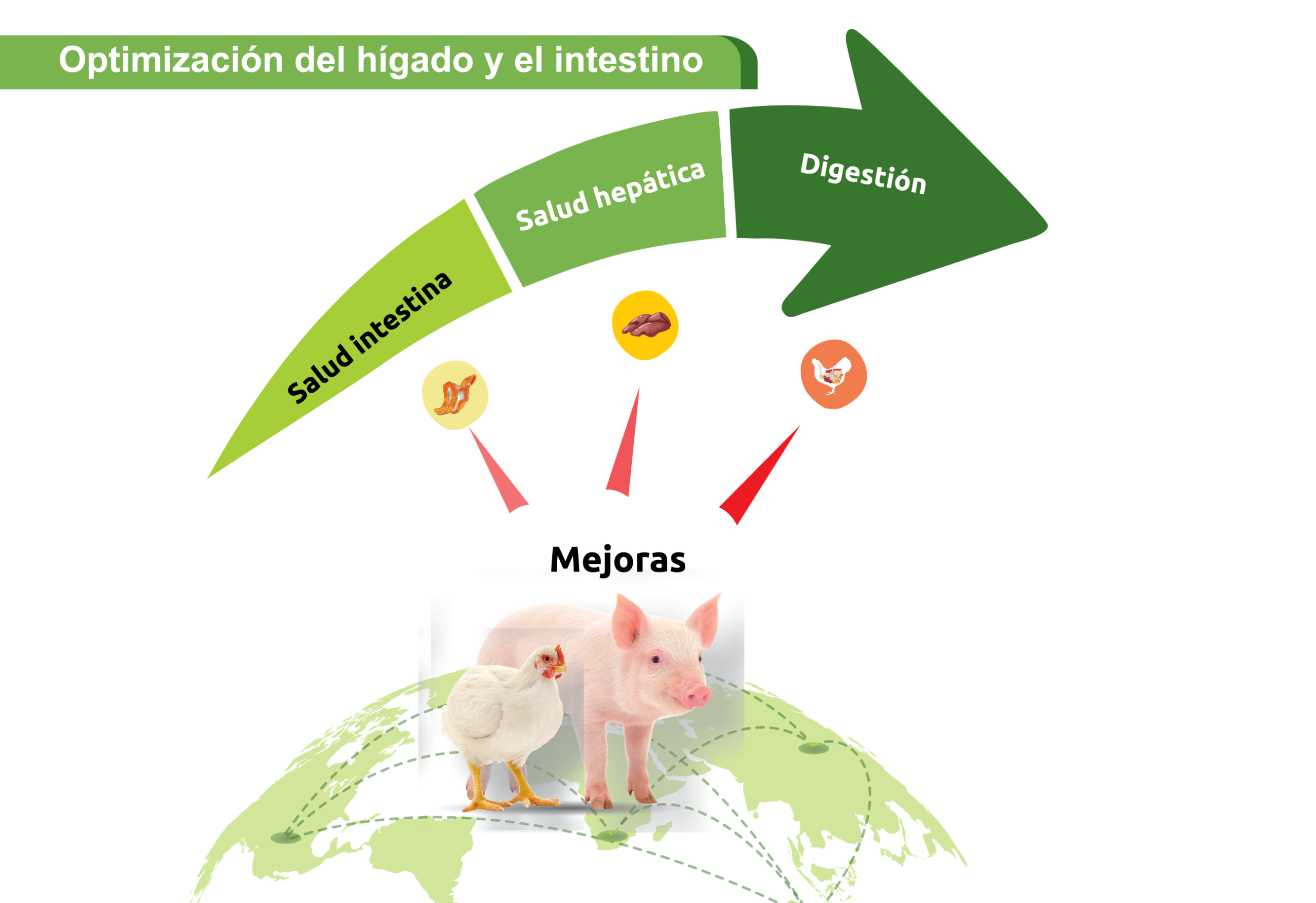 SUntitled 1 03 scaled