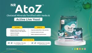 NR AtoZ Research Paper 03