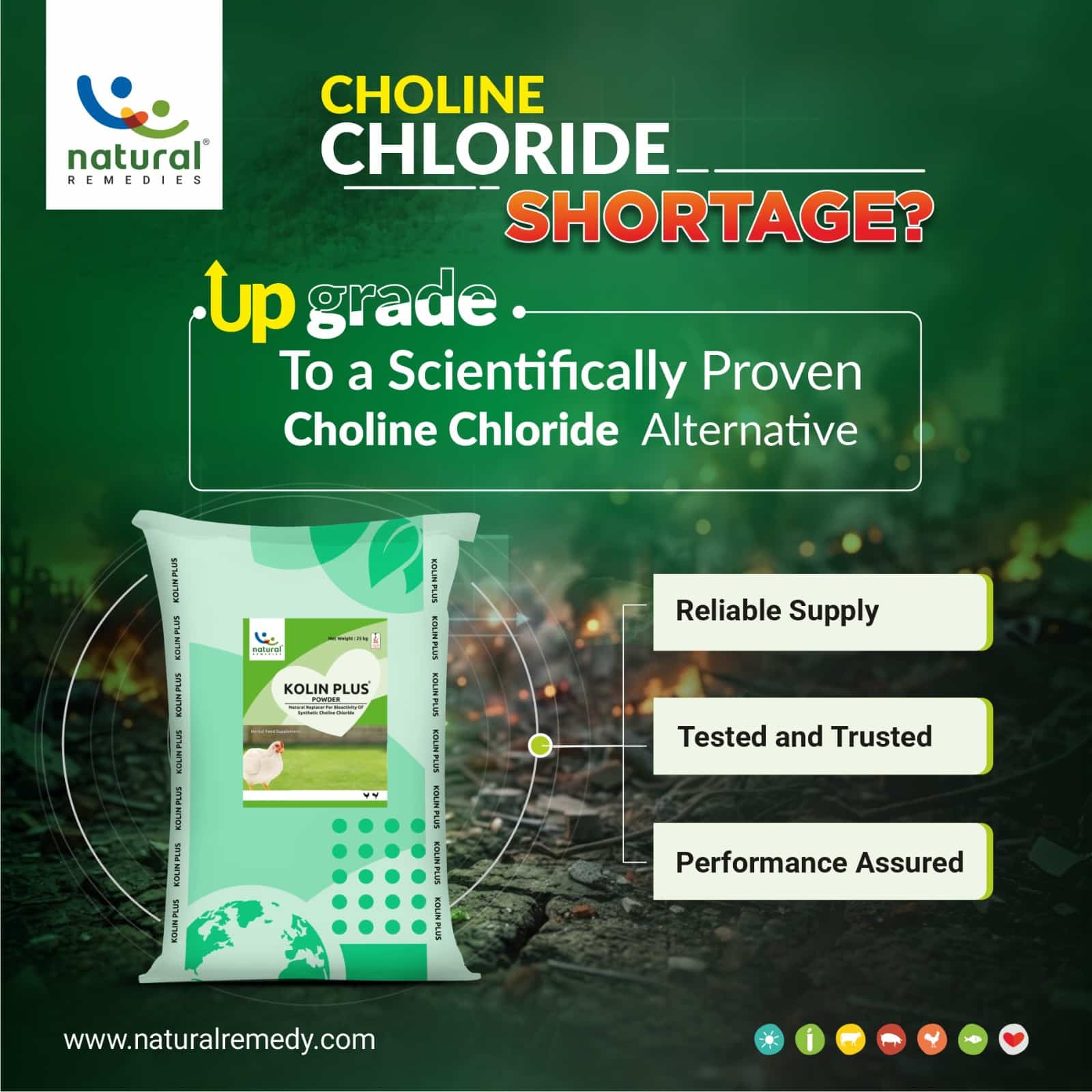 Choline Chloride Shortage? Choose Kolin Plus