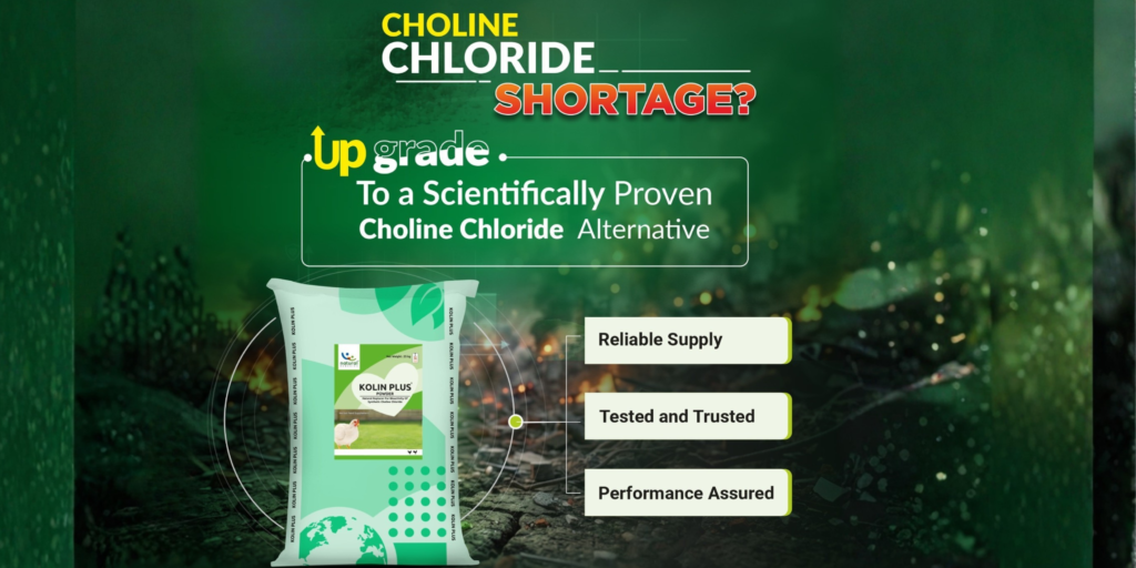 choline chloride shortage? Choose Kolin Plus