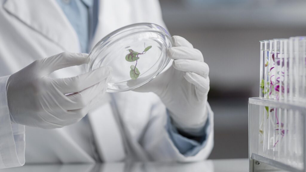 researchers laboratory holding petri dish