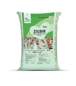 01_0000_Zigbir 01_0000_Zigbir