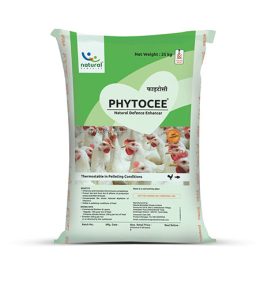 01_0004_Phytocee