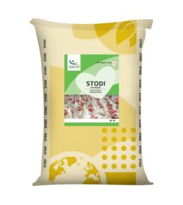 Stodi Stodi