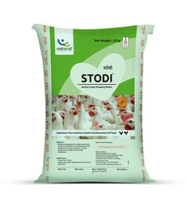 STODI – Gut Conditioner  for poultry STODI - Gut Conditioner for poultry